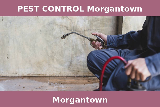 PEST CONTROL Morgantown